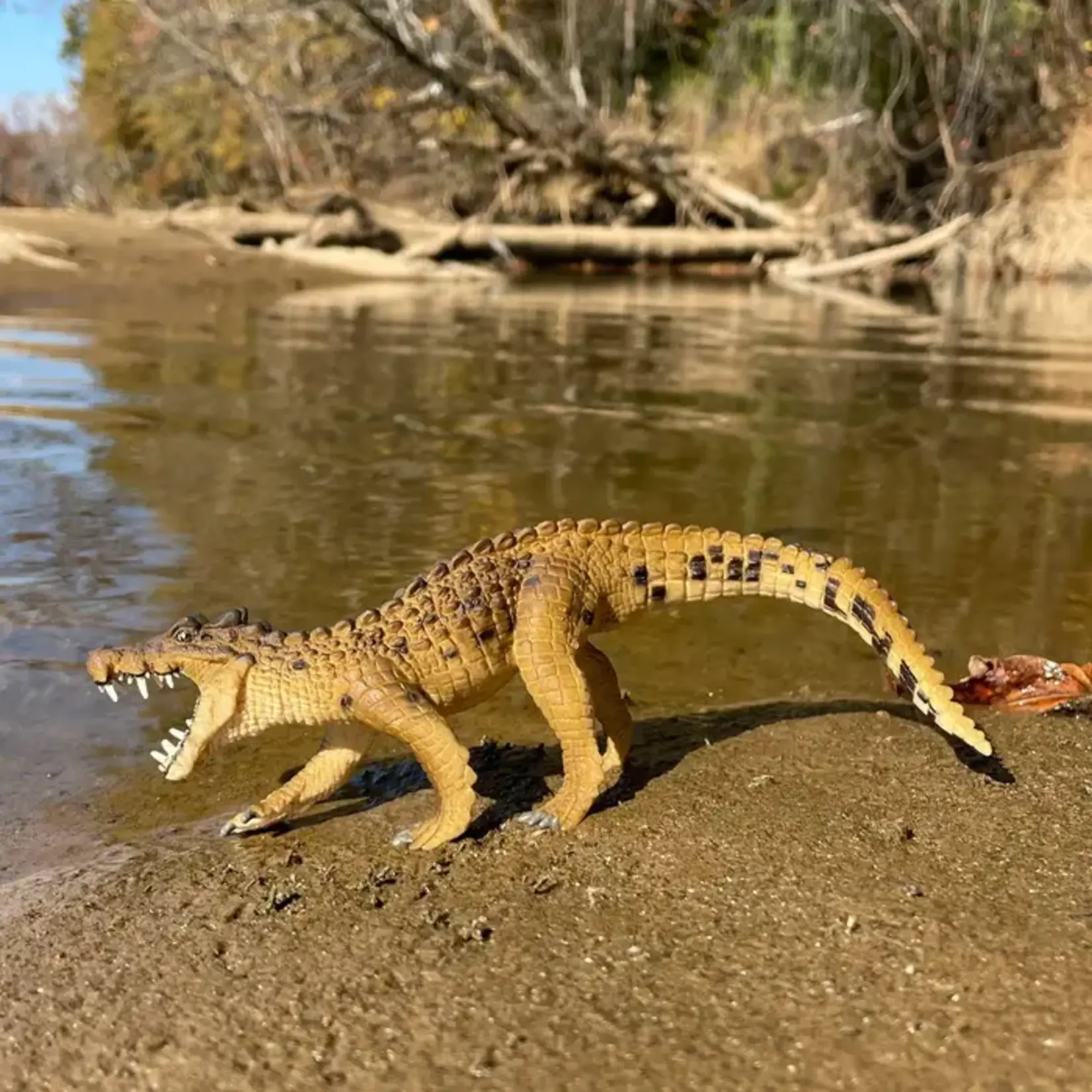 Safari Ltd Kaprosuchus