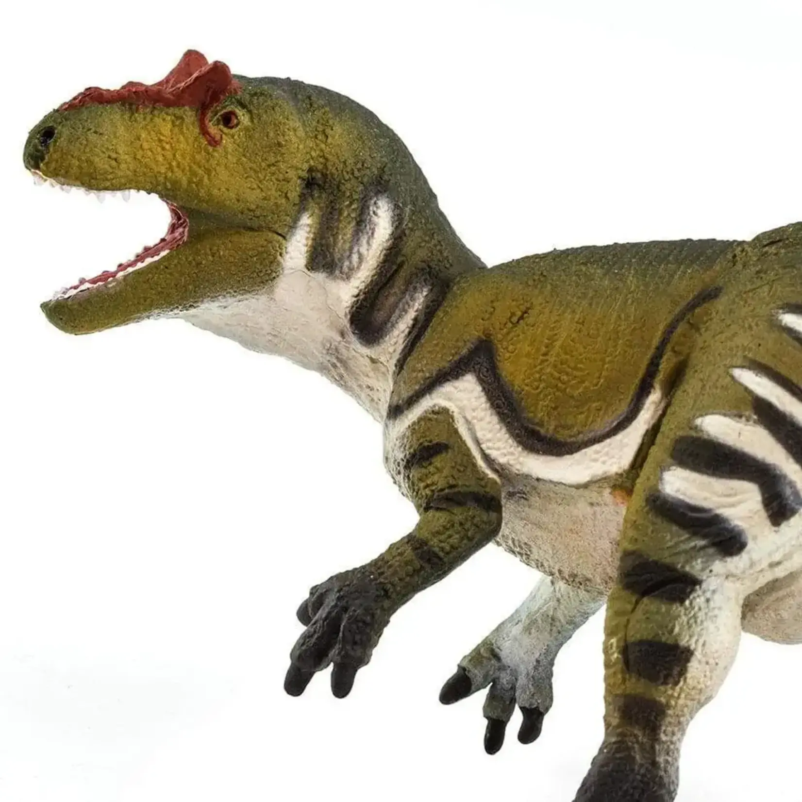 Safari Ltd Allosaurus