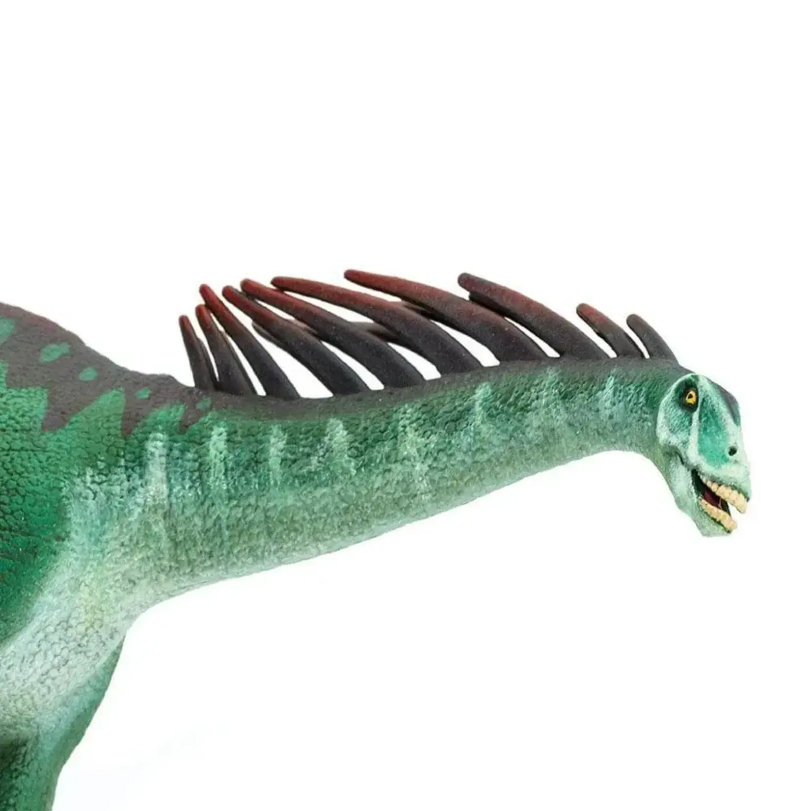 Safari Ltd Amargasaurus