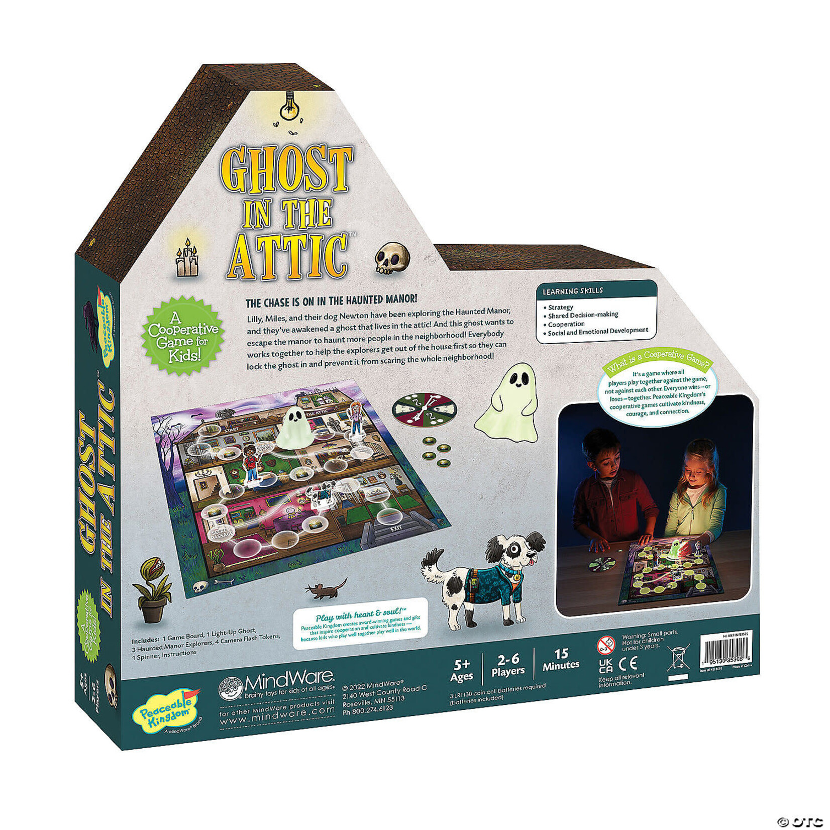 Mindware Ghost in the Attic