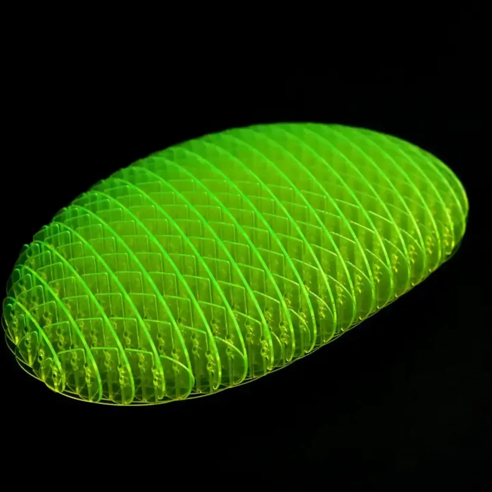 Humango Morf Fidget Worm - Big Green