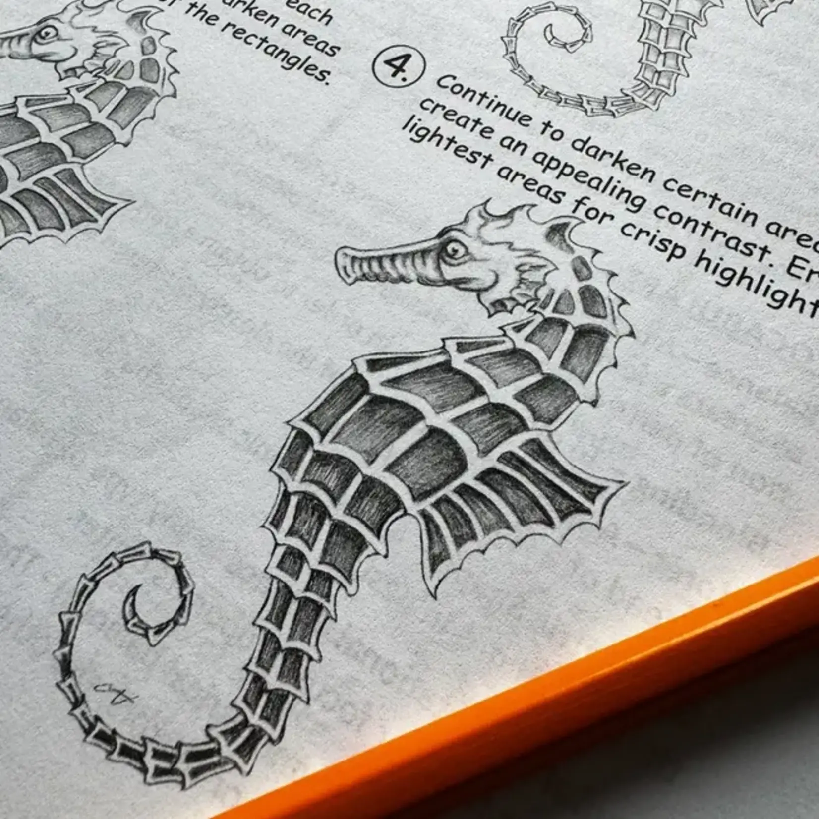 Simon and Schuster How to Draw Cool Stuff: Shading, Textures and Optical Illusions by Catherine V. Holmes