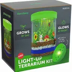 Dan & Darci Light Up Terrarium Kit