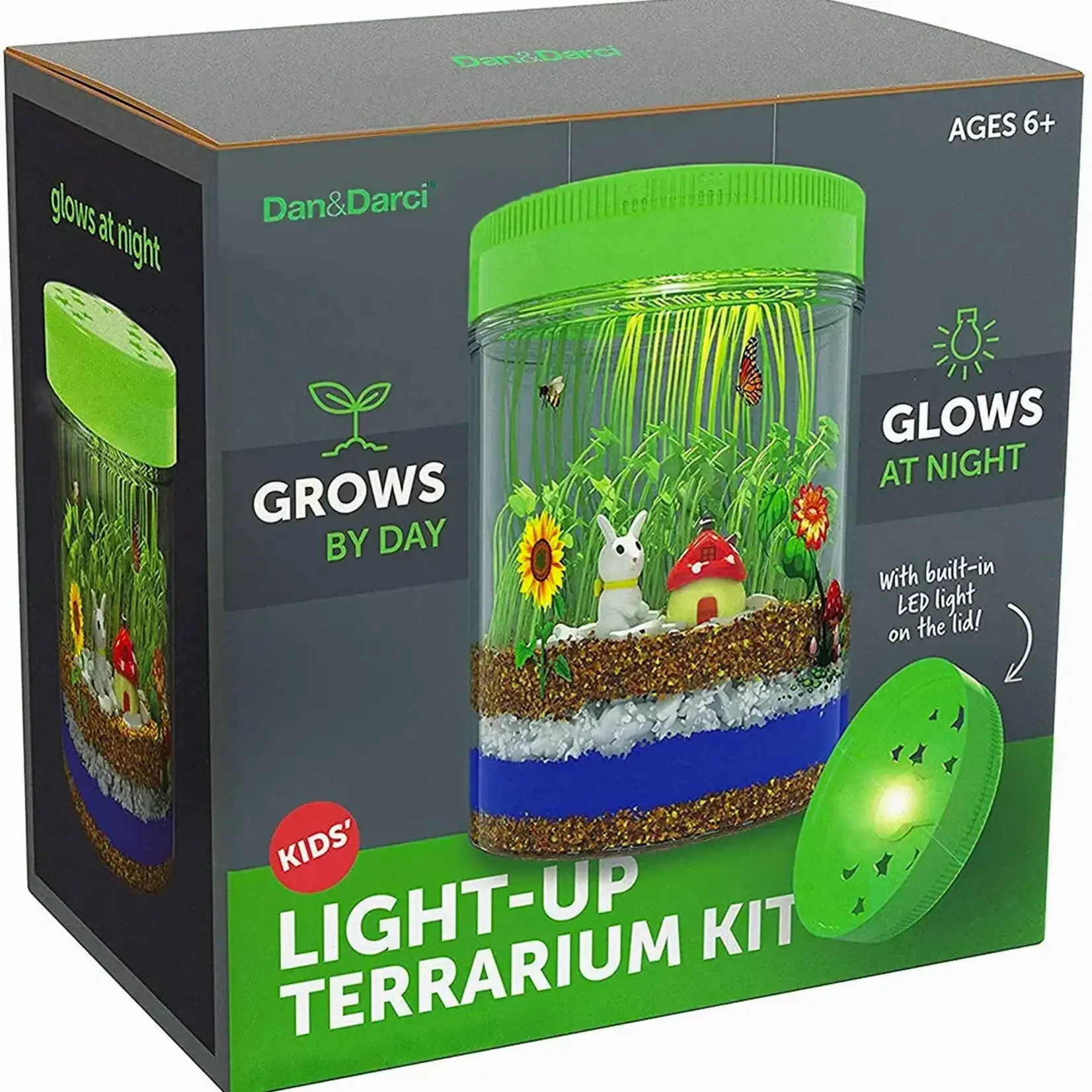 Dan & Darci Light Up Terrarium Kit