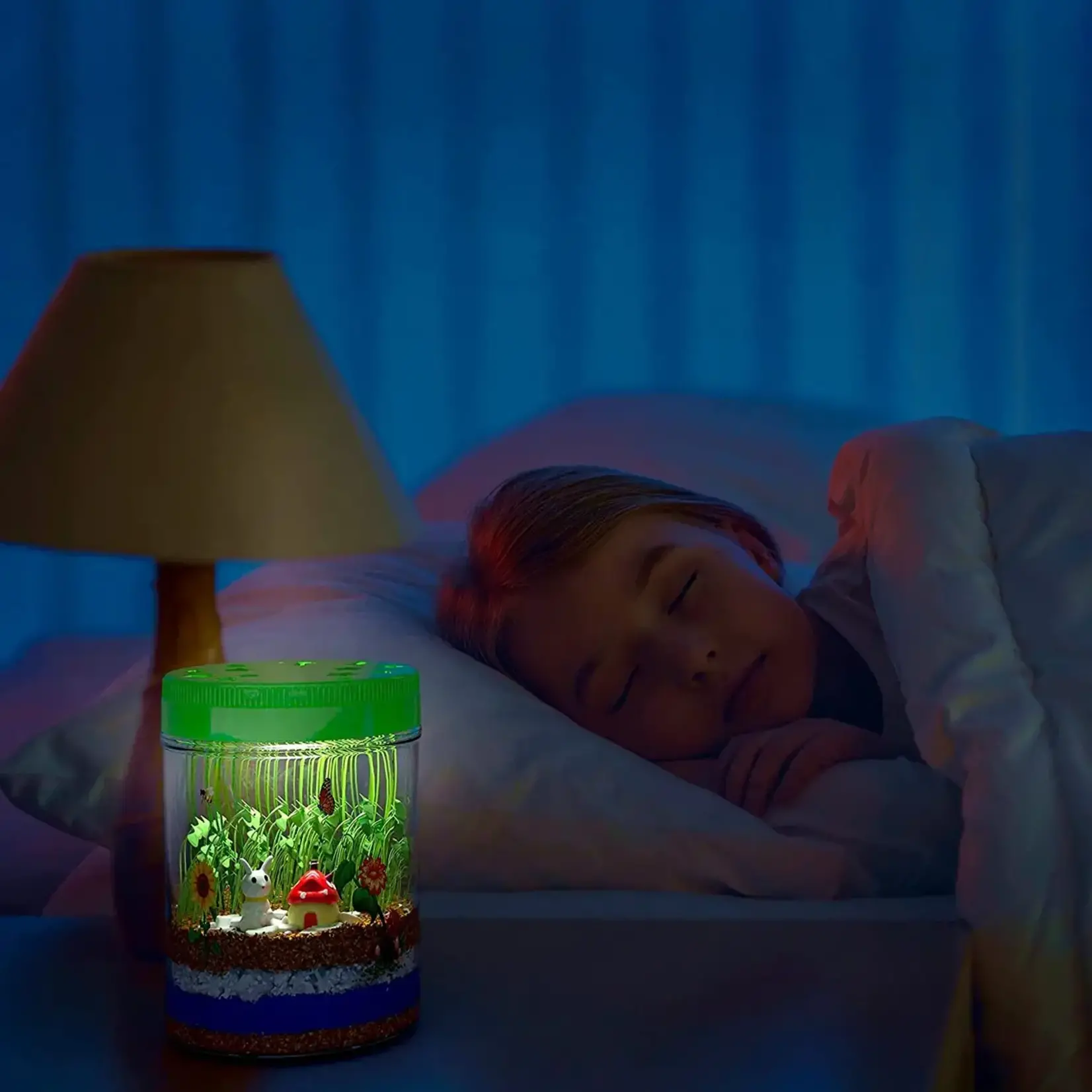Dan & Darci Light Up Terrarium Kit