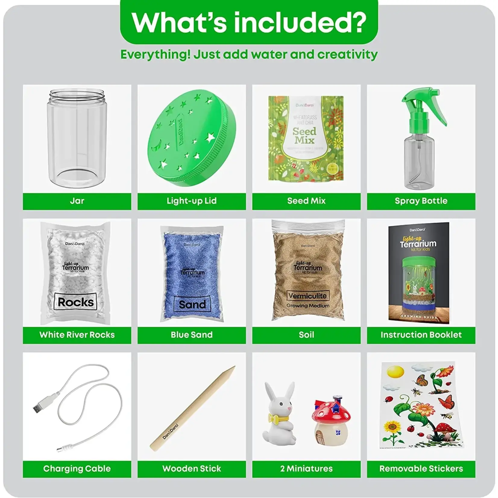 Dan & Darci Light Up Terrarium Kit