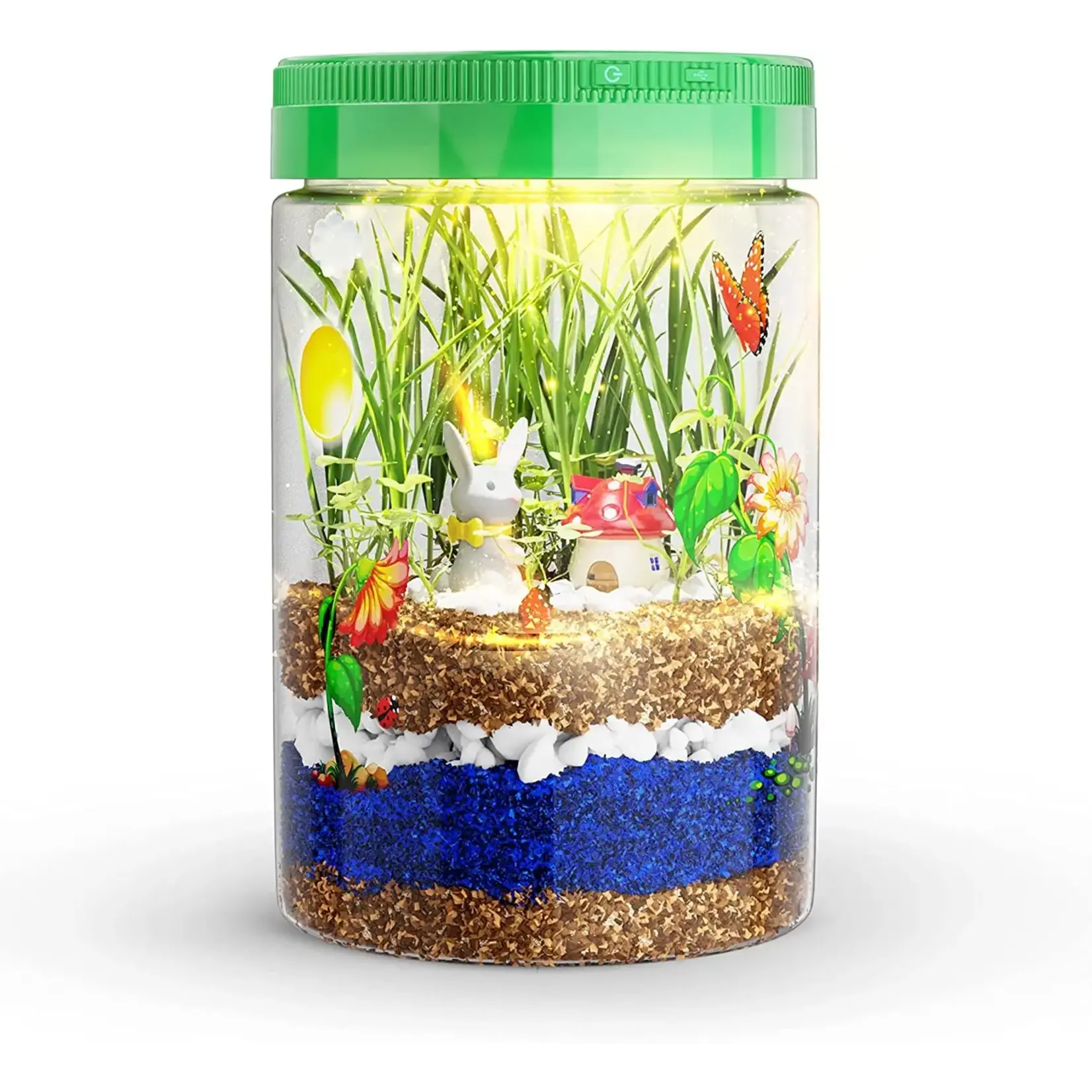 Dan & Darci Light Up Terrarium Kit