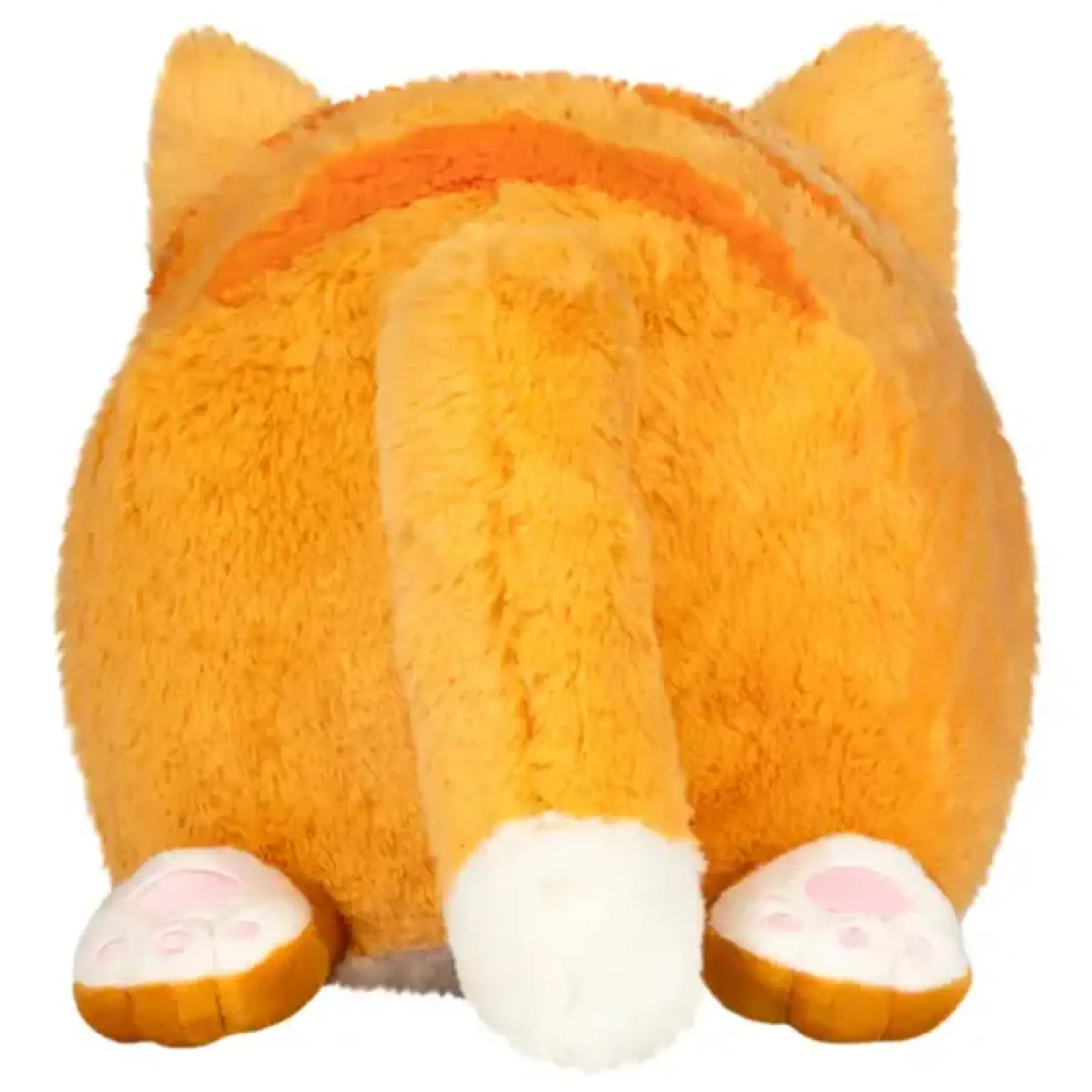 Squishable Squishable Kitty