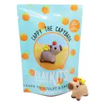DIY Polymer Clay Kit