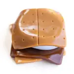 Beverly Hills Teddy Bear Company MushMeez Taba Squish Smores