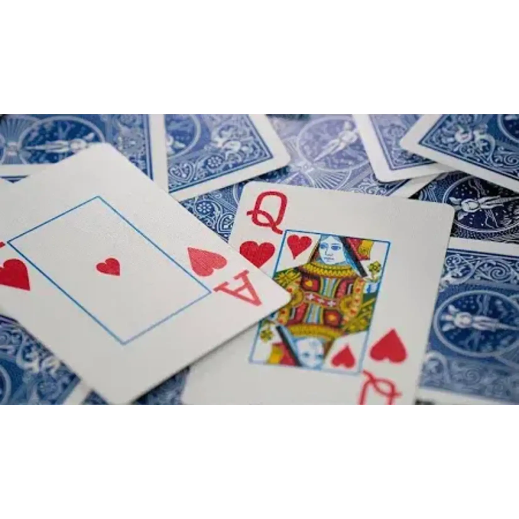Bicycle Playing Cards - Jumbo