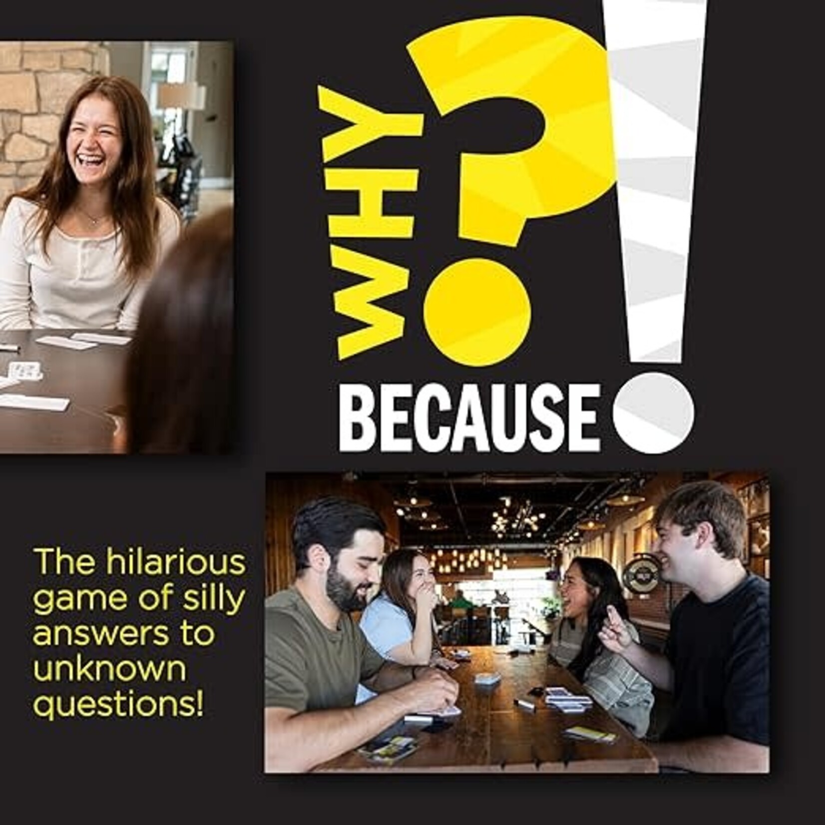 Fat Brain Why? Because! Game