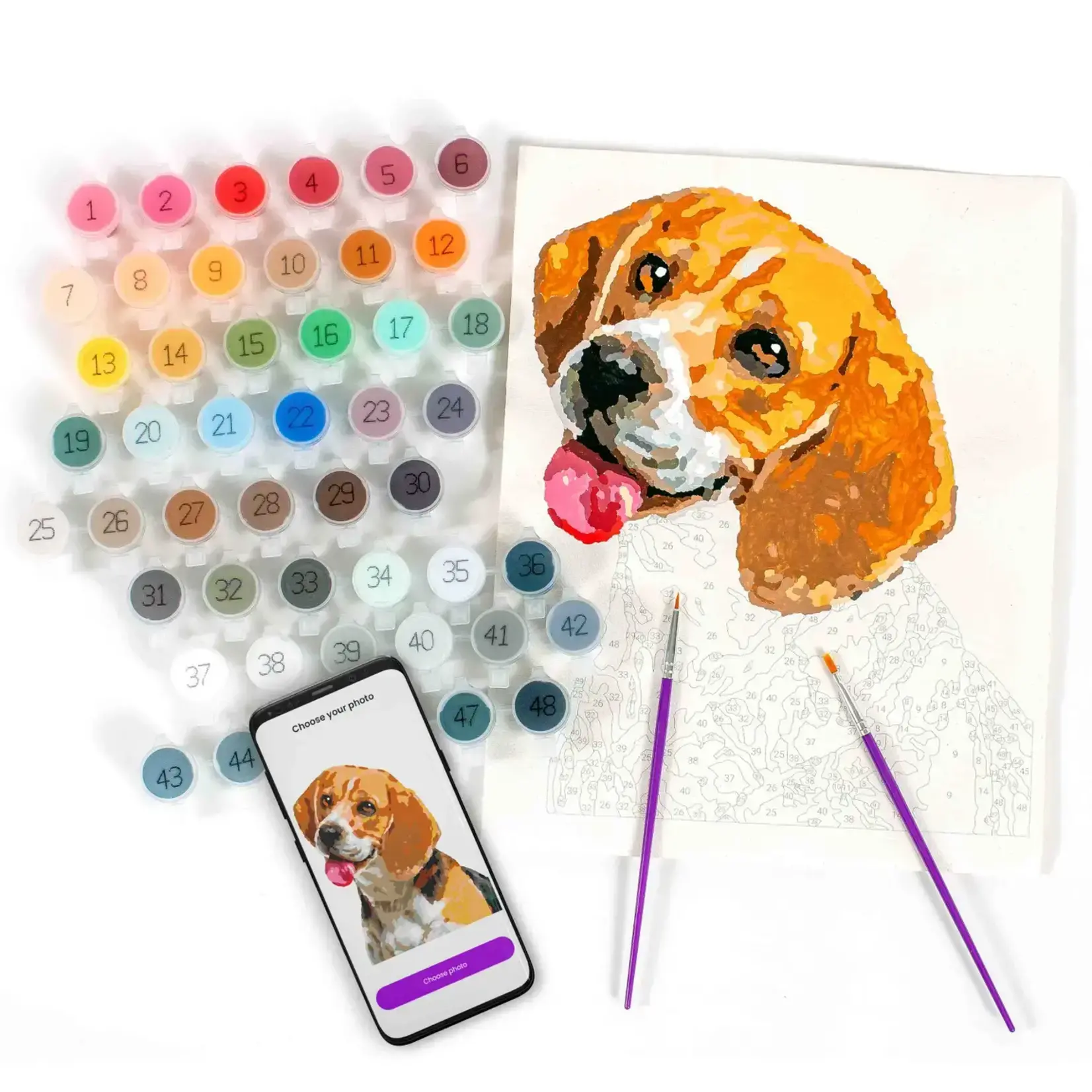 Paint Your Photo By Number Pets Edition