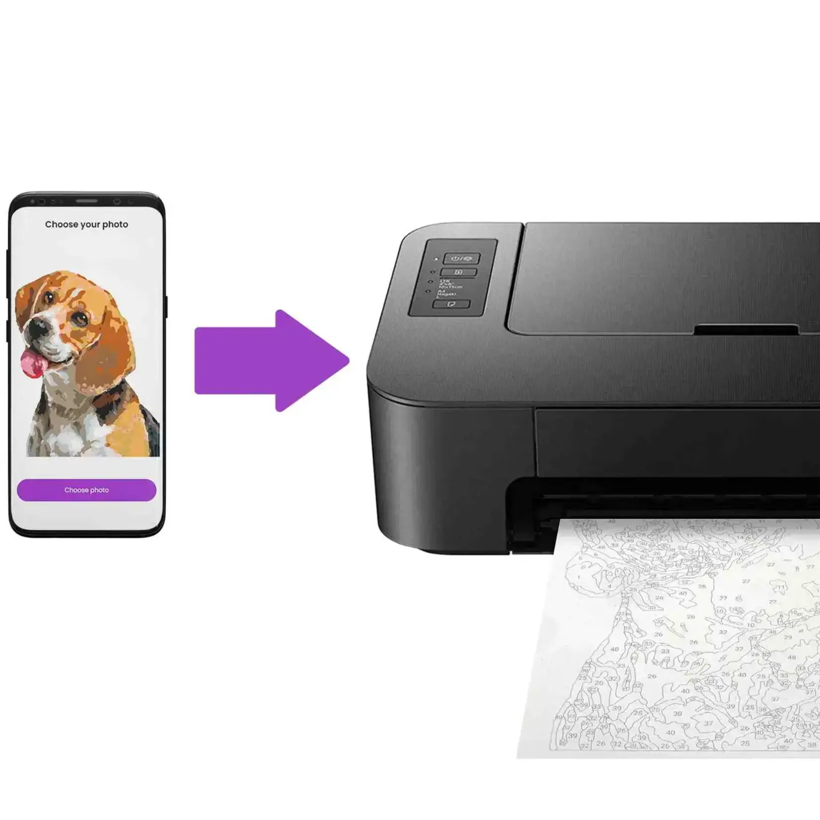 Paint Your Photo By Number Pets Edition