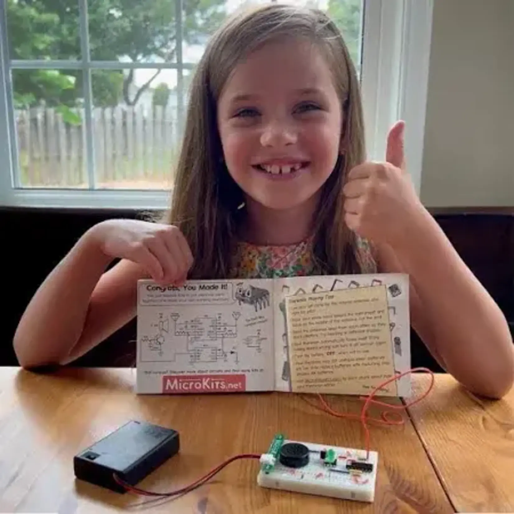 MicroKits Theremin Kit