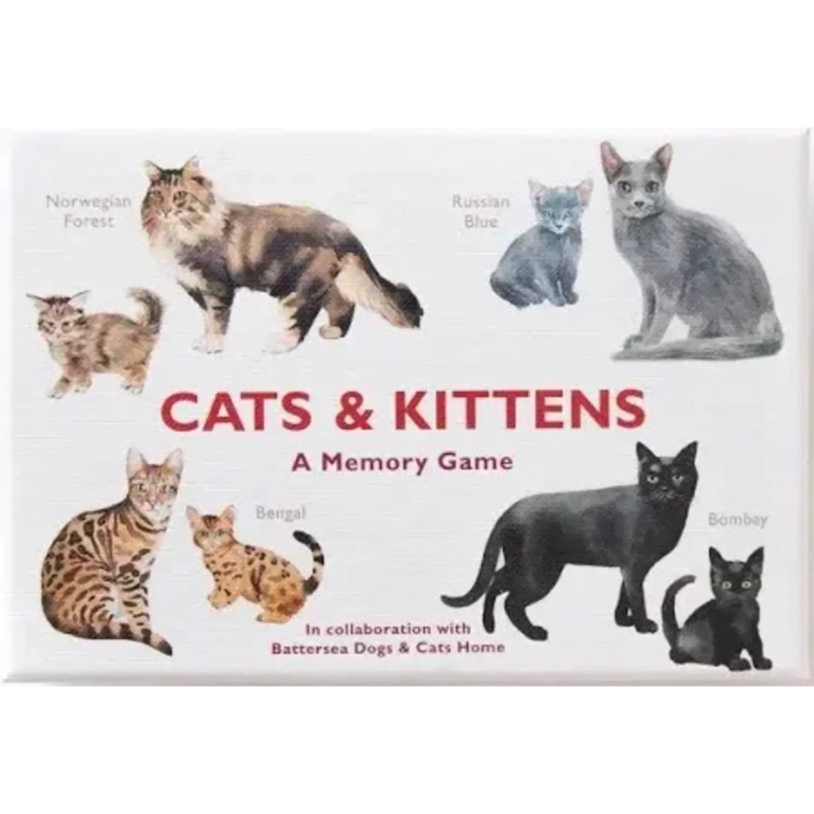 Laurence King Publishing Cats & Kittens Matching Game