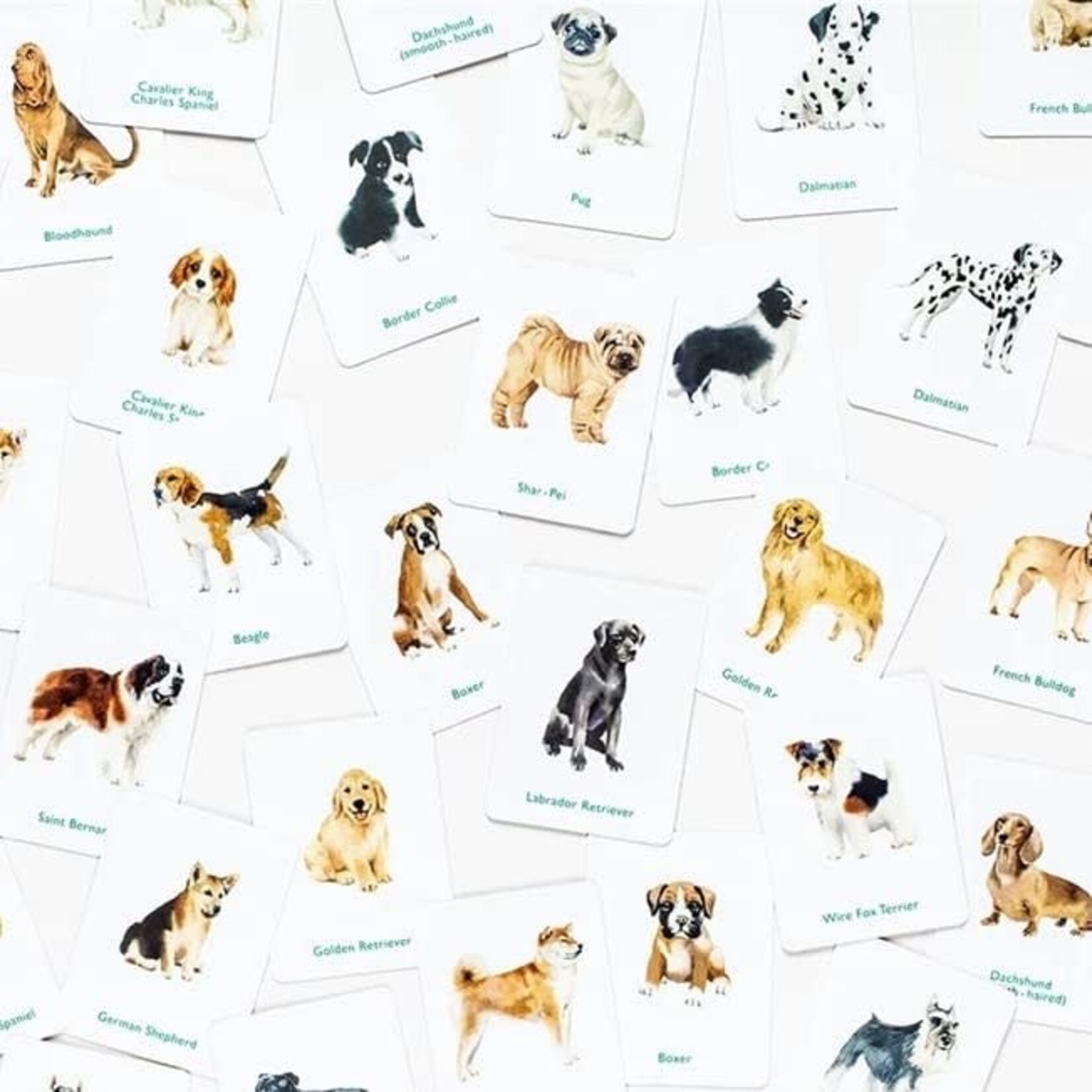 Laurence King Publishing Dogs & Puppies Matching Game