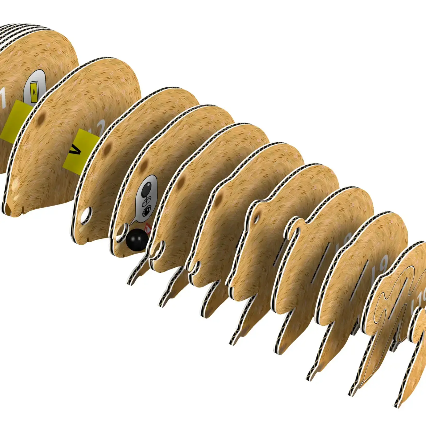 Safari Ltd Eugy - Wombat 3D puzzle