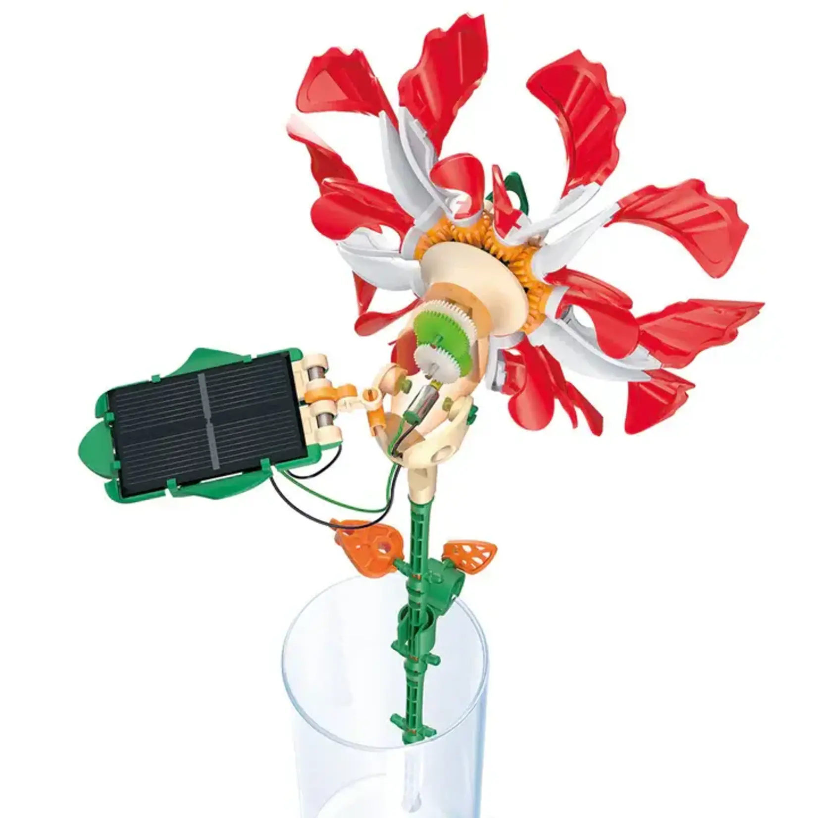 Thames and Kosmos Solar Flower - Ruby Ripple