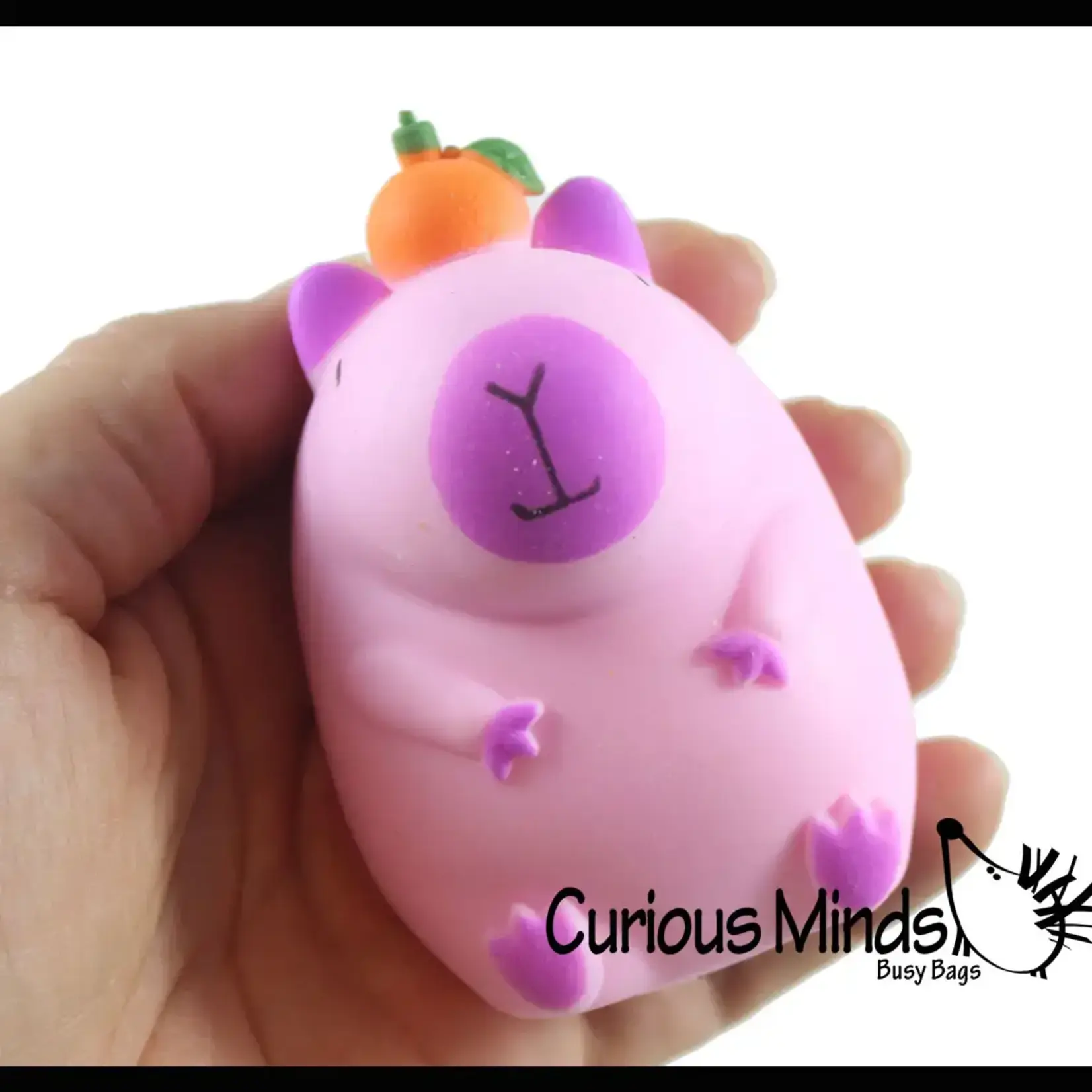 Curious Minds Stretchy Sand Filled Capybara