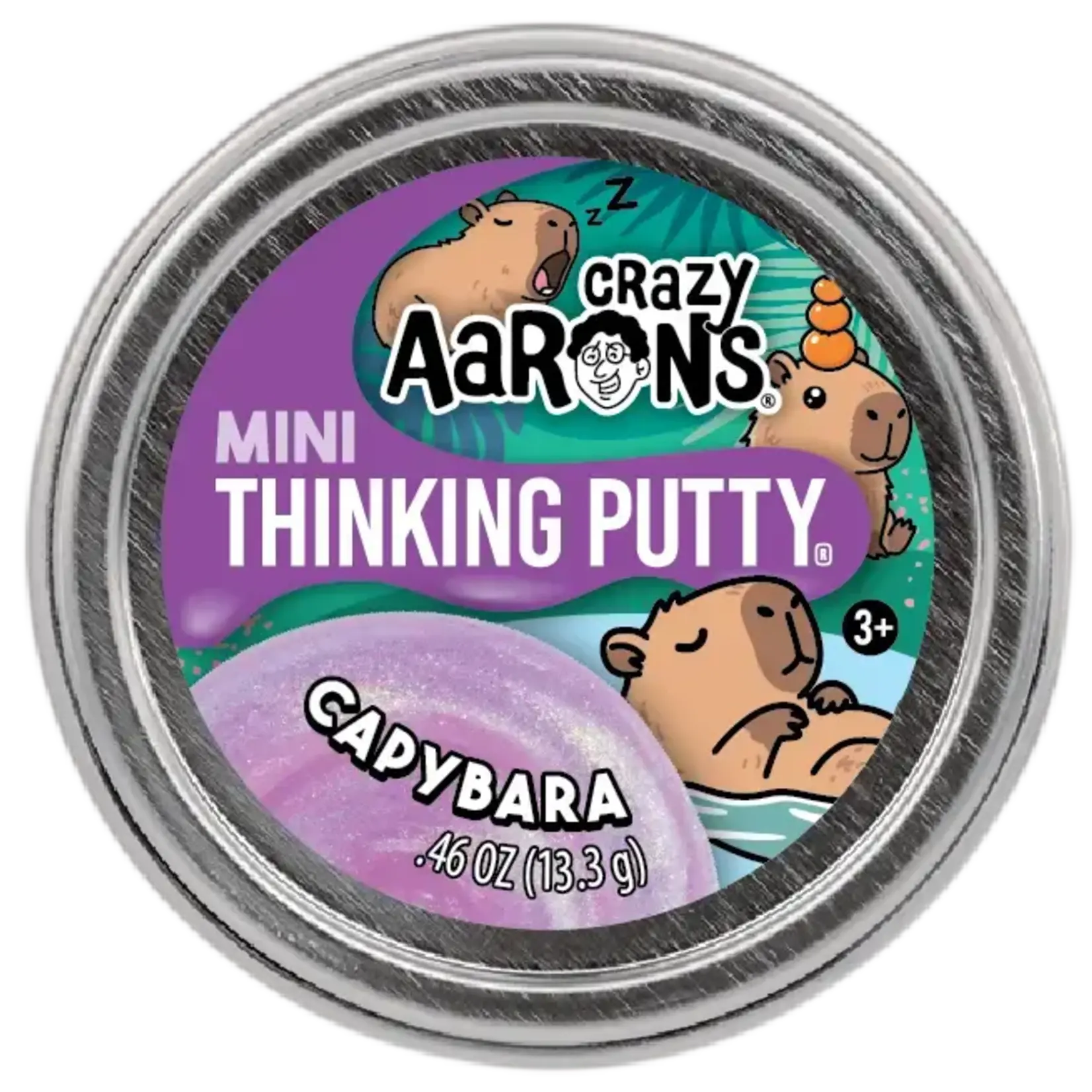 Crazy Aaron's Thinking Putty 2" Mini Putty Capybara