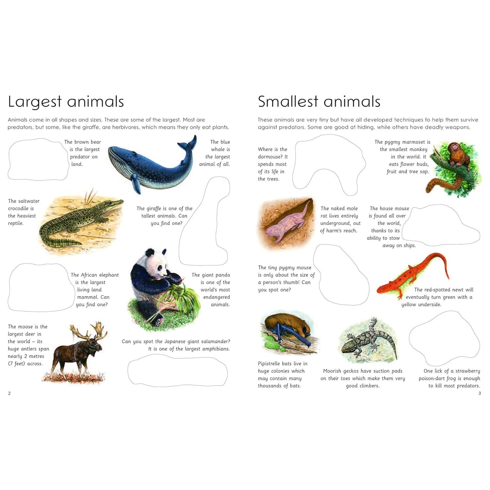 Simon and Schuster Ultimate Animal Sticker Book