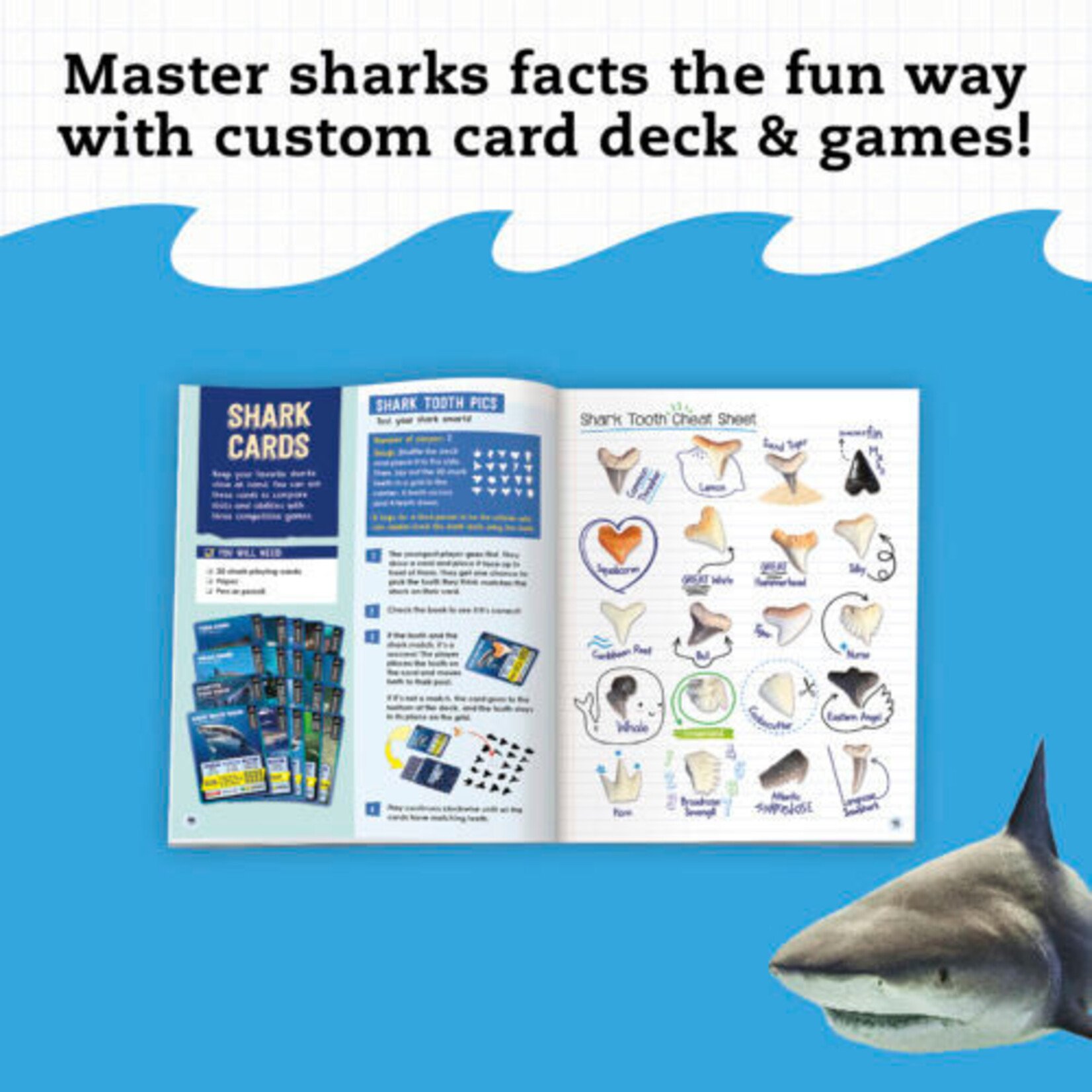 Klutz Klutz Shark-tastic Teeth