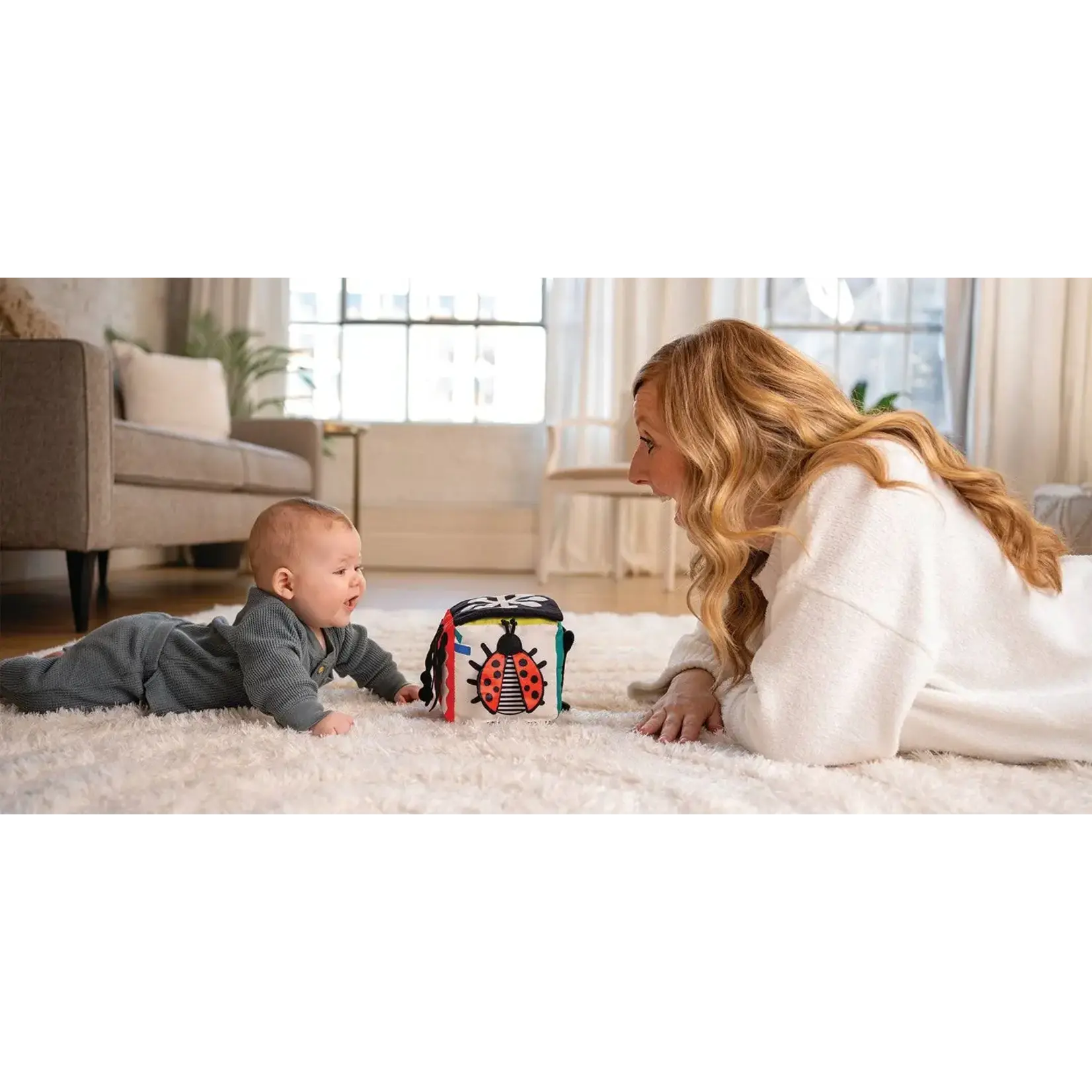 Manhattan Toy Wimmer Discovery Cube