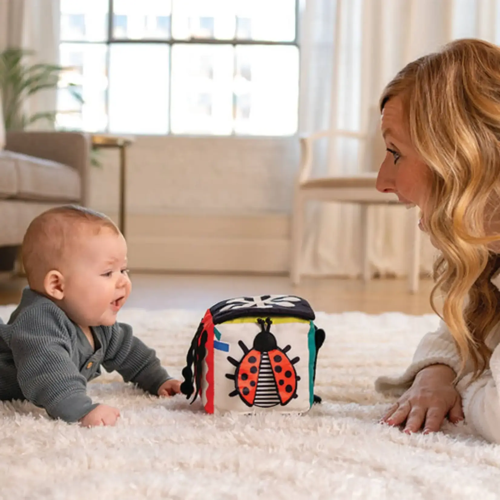 Manhattan Toy Wimmer Discovery Cube