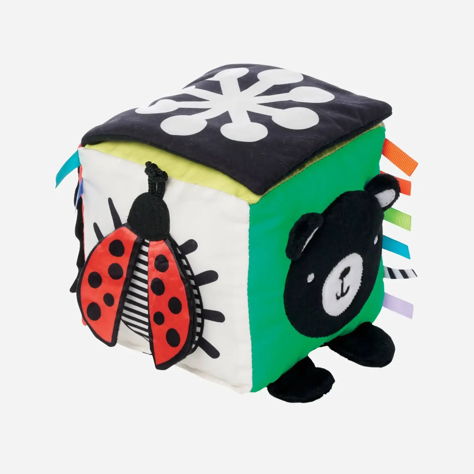 Manhattan Toy Wimmer Discovery Cube