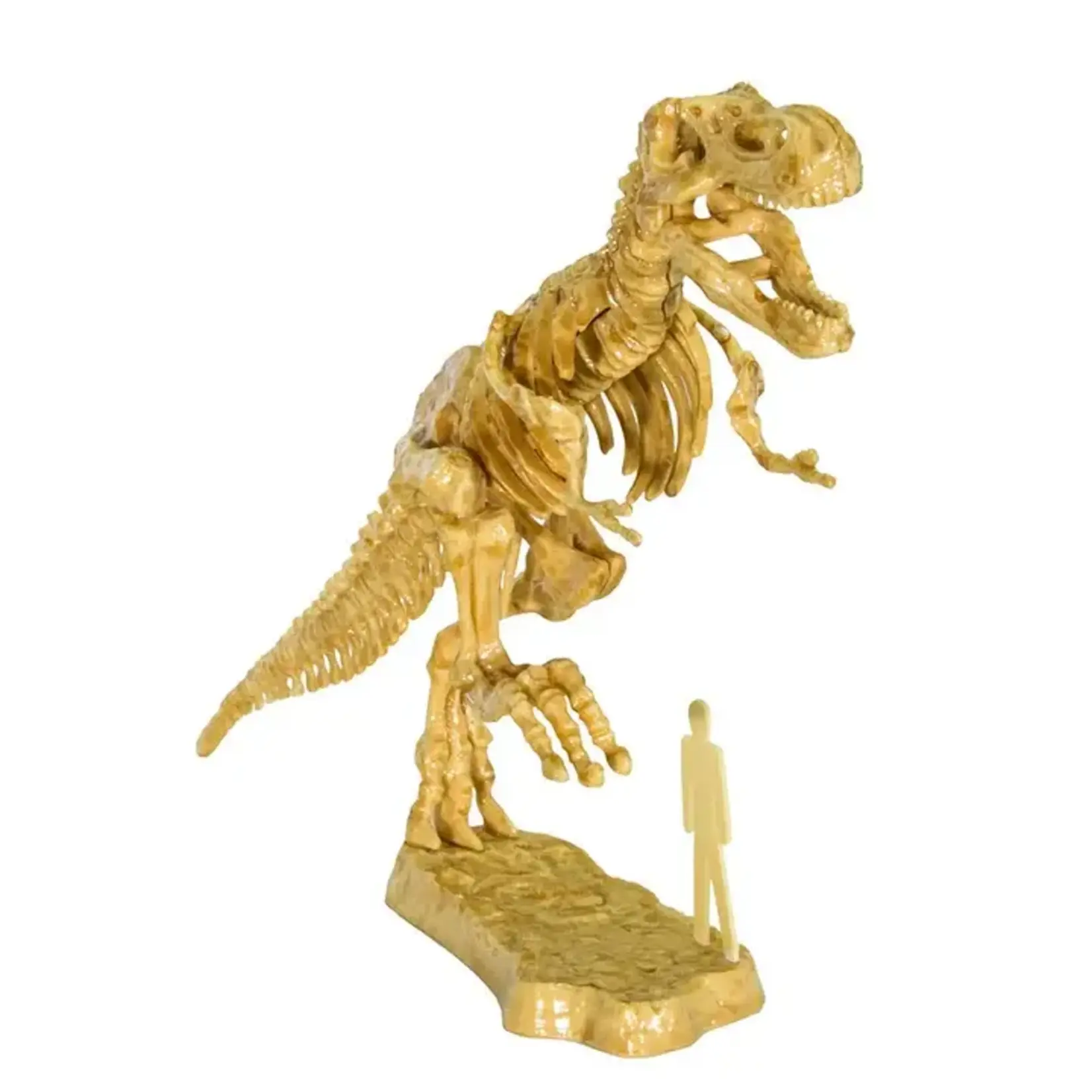 Thames and Kosmos I Dig It! 3D T-Rex Excavation