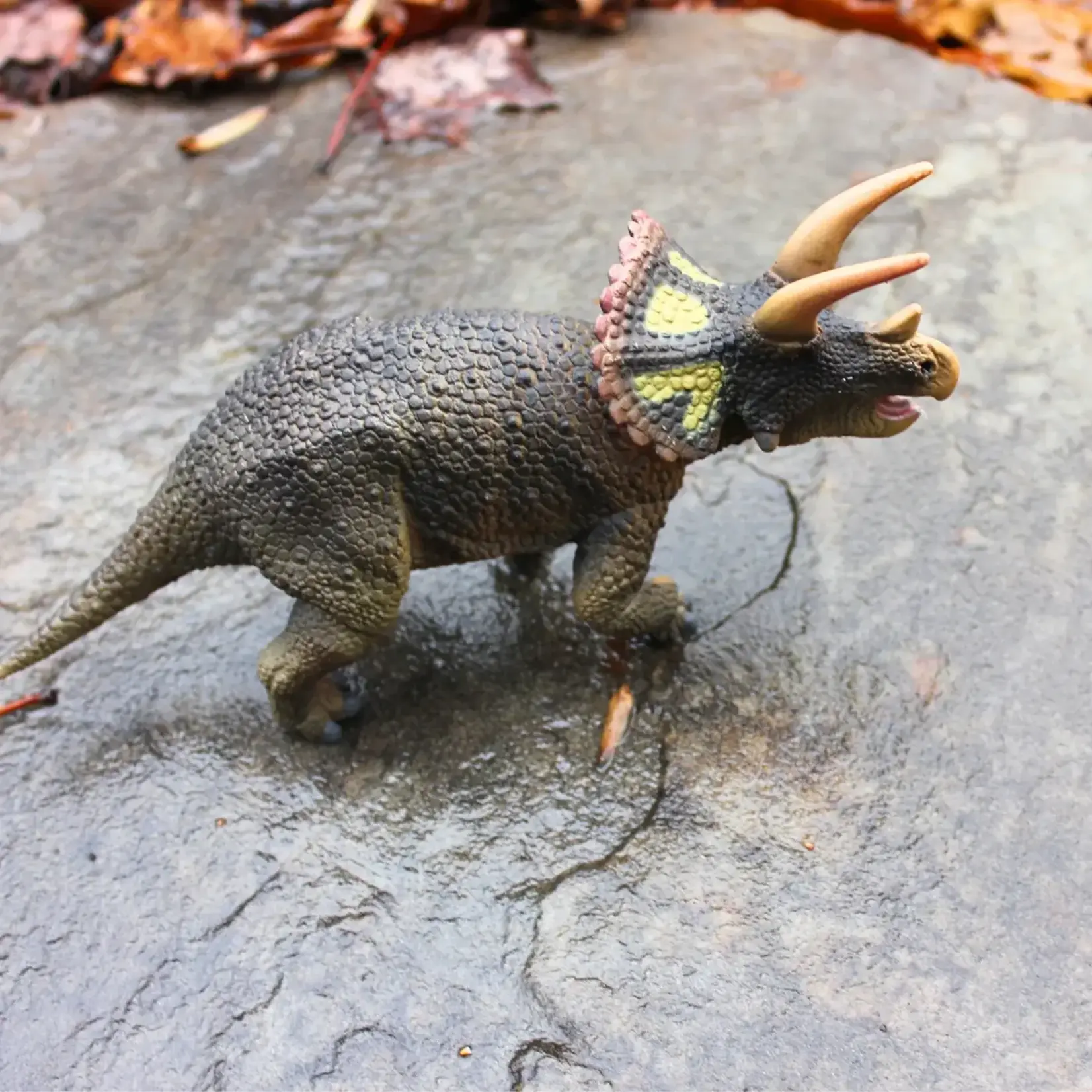Safari Ltd Triceratops