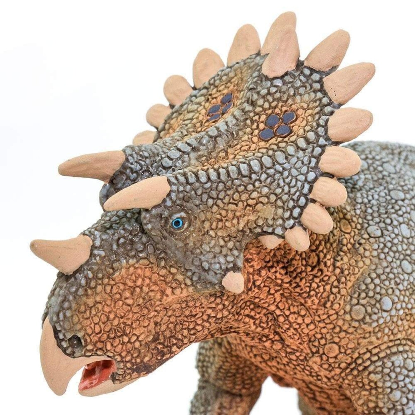 Safari Ltd Regaliceratops