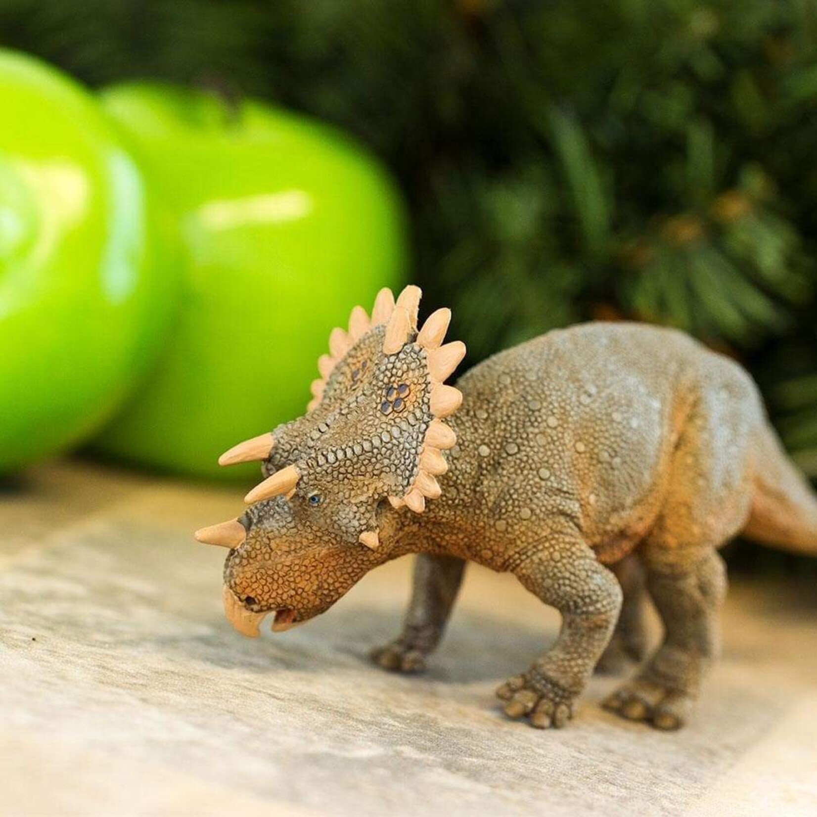 Safari Ltd Regaliceratops