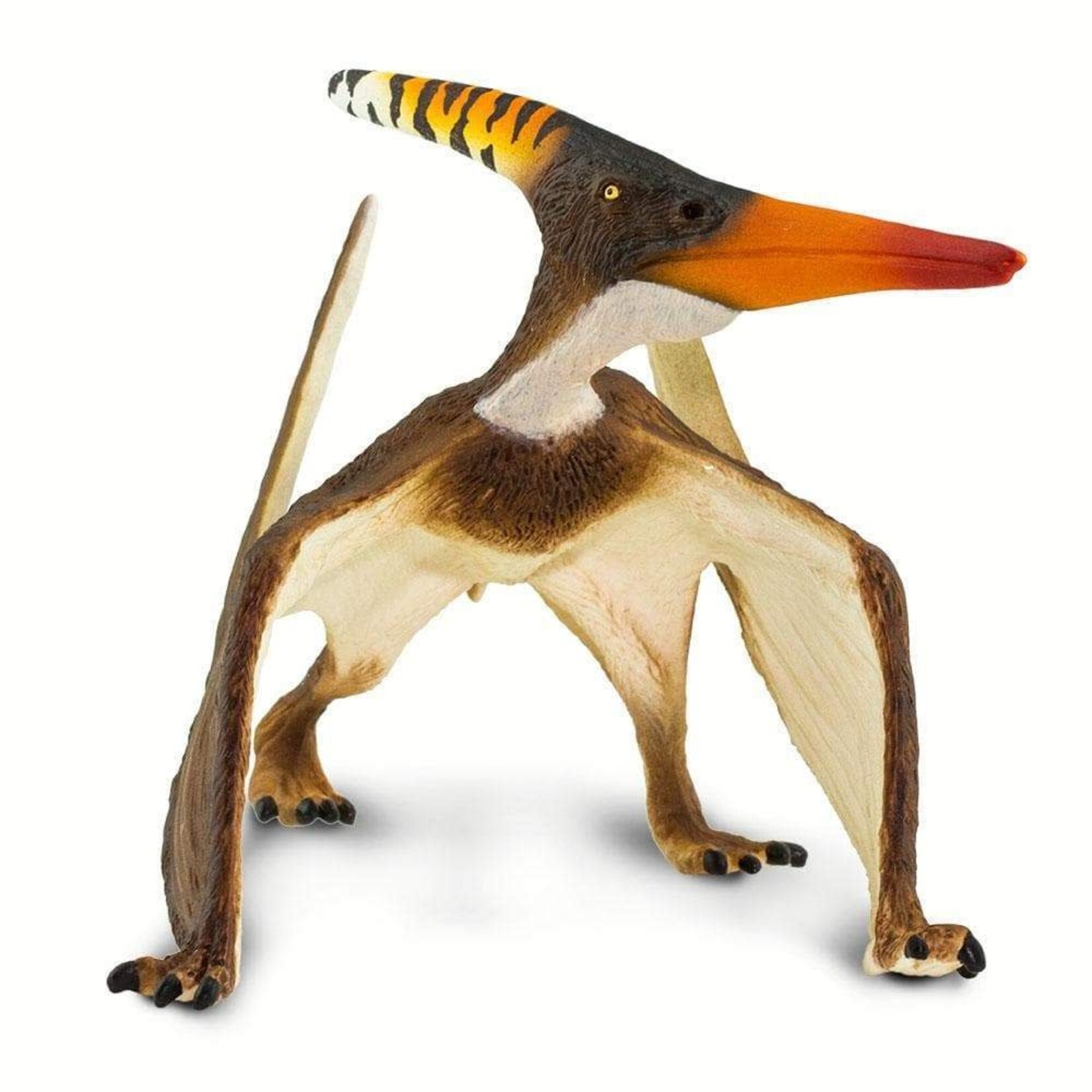 Safari Ltd Pteranodon (Ground)