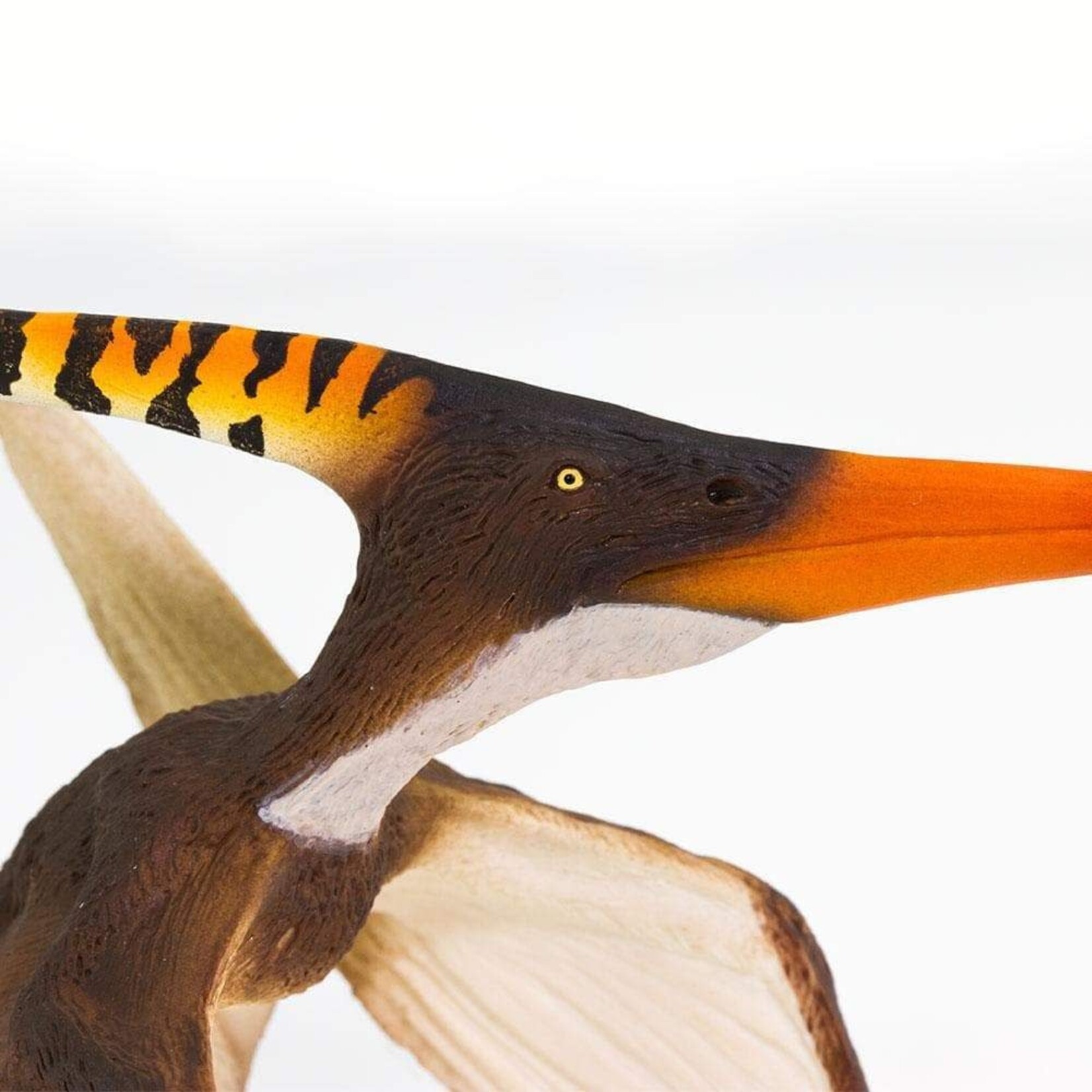 Safari Ltd Pteranodon (Ground)