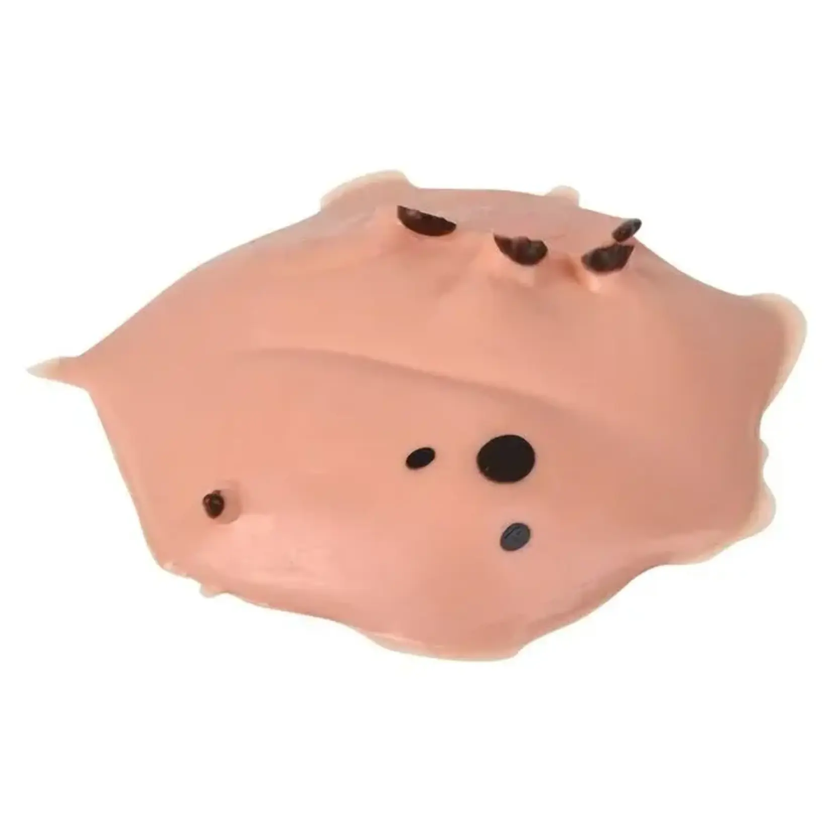 Capybara Splat Ball