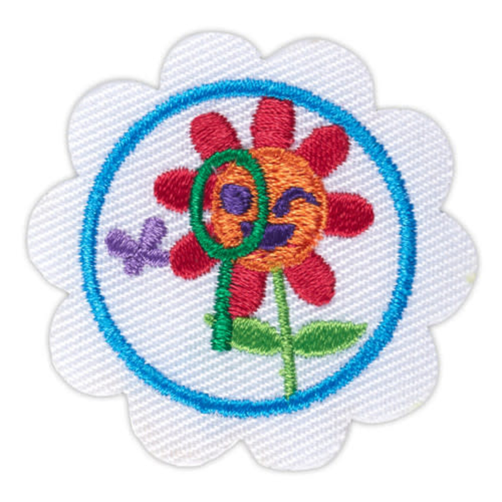 Girl Scout Merchandise Daisy Outdoor Stem Journey Award -Think Like a Citizen Scientist