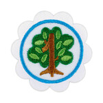 Girl Scout Merchandise DAISY SHAPES IN NATURE BADGE