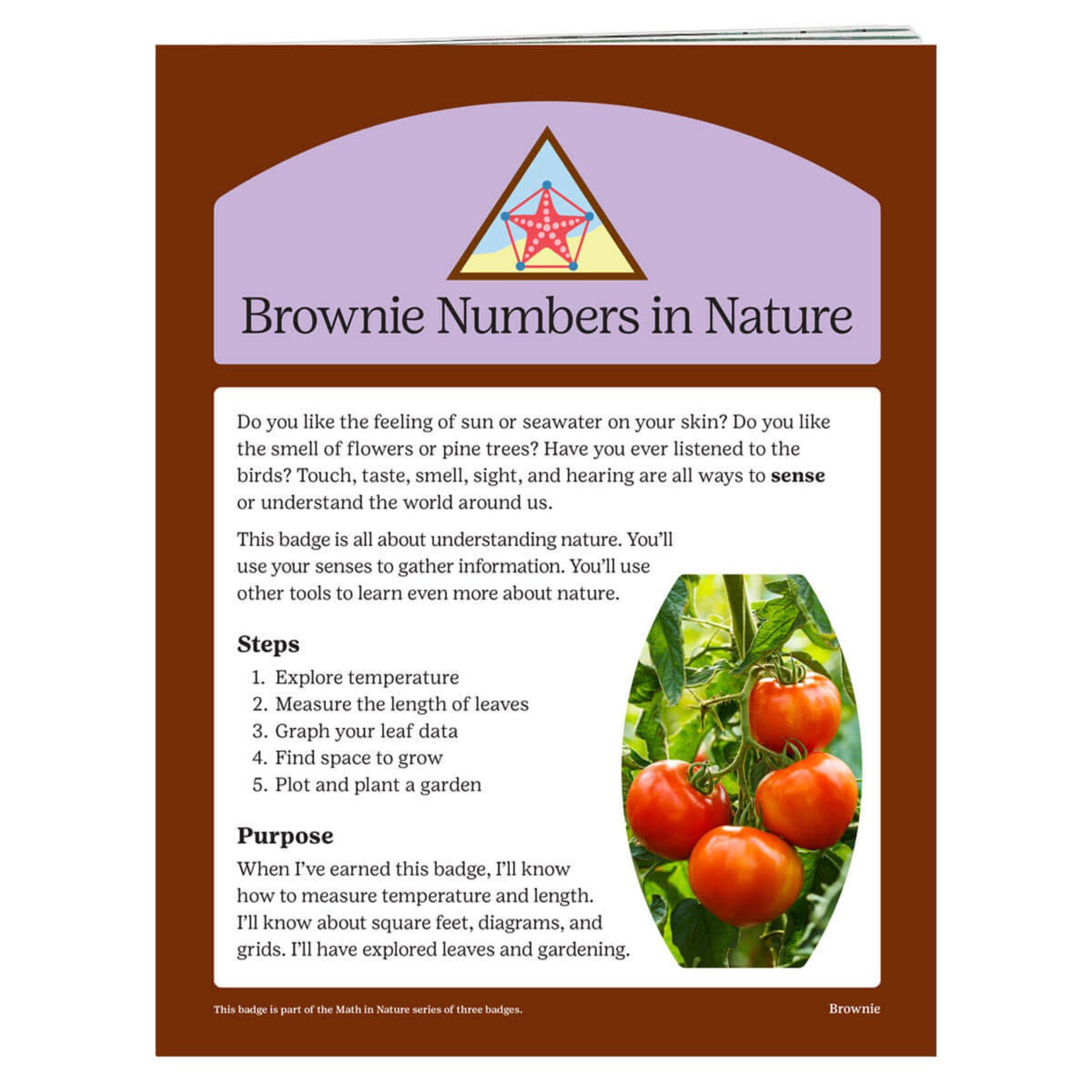 Girl Scout Merchandise Brownie Numbers in Nature Badge Requirements