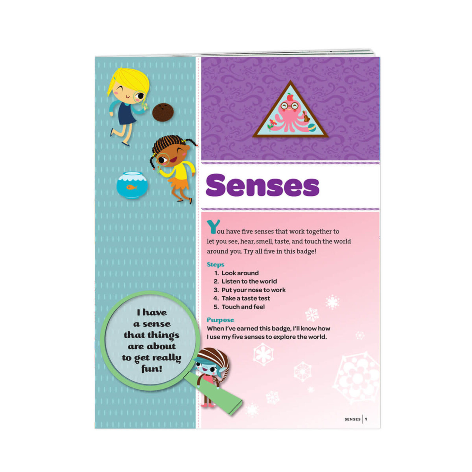 Girl Scout Merchandise Brownie Senses Badge Requirements