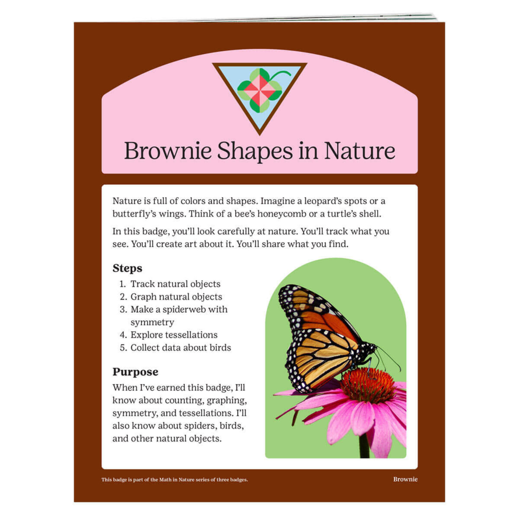 Girl Scout Merchandise Brownie Shapes in Nature Badge Requirements