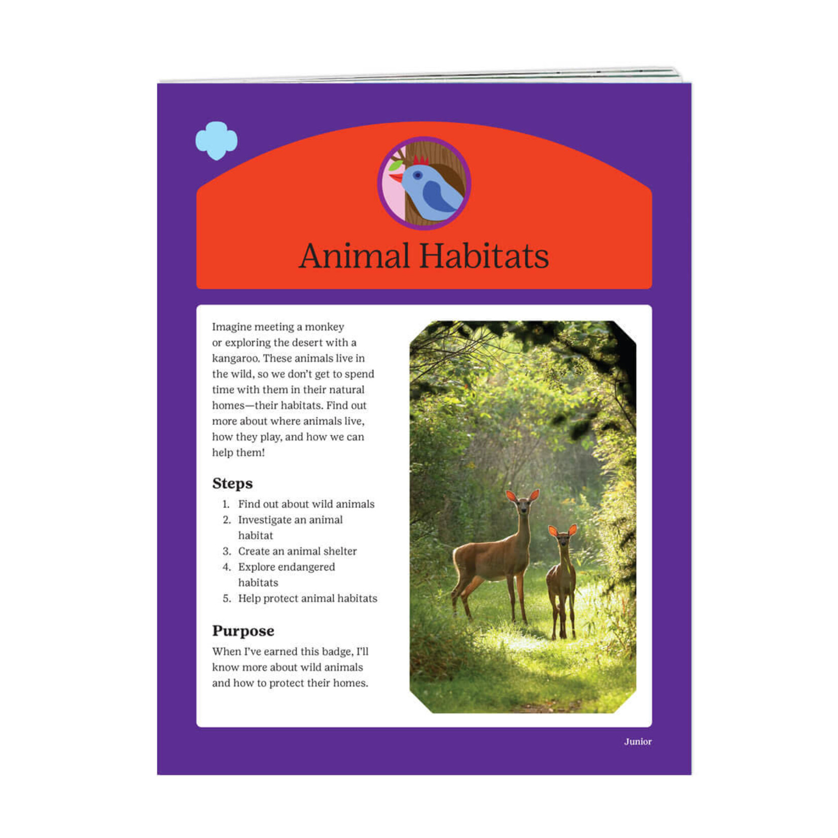 Girl Scout Merchandise Junior Animal Habitats Badge Requirements