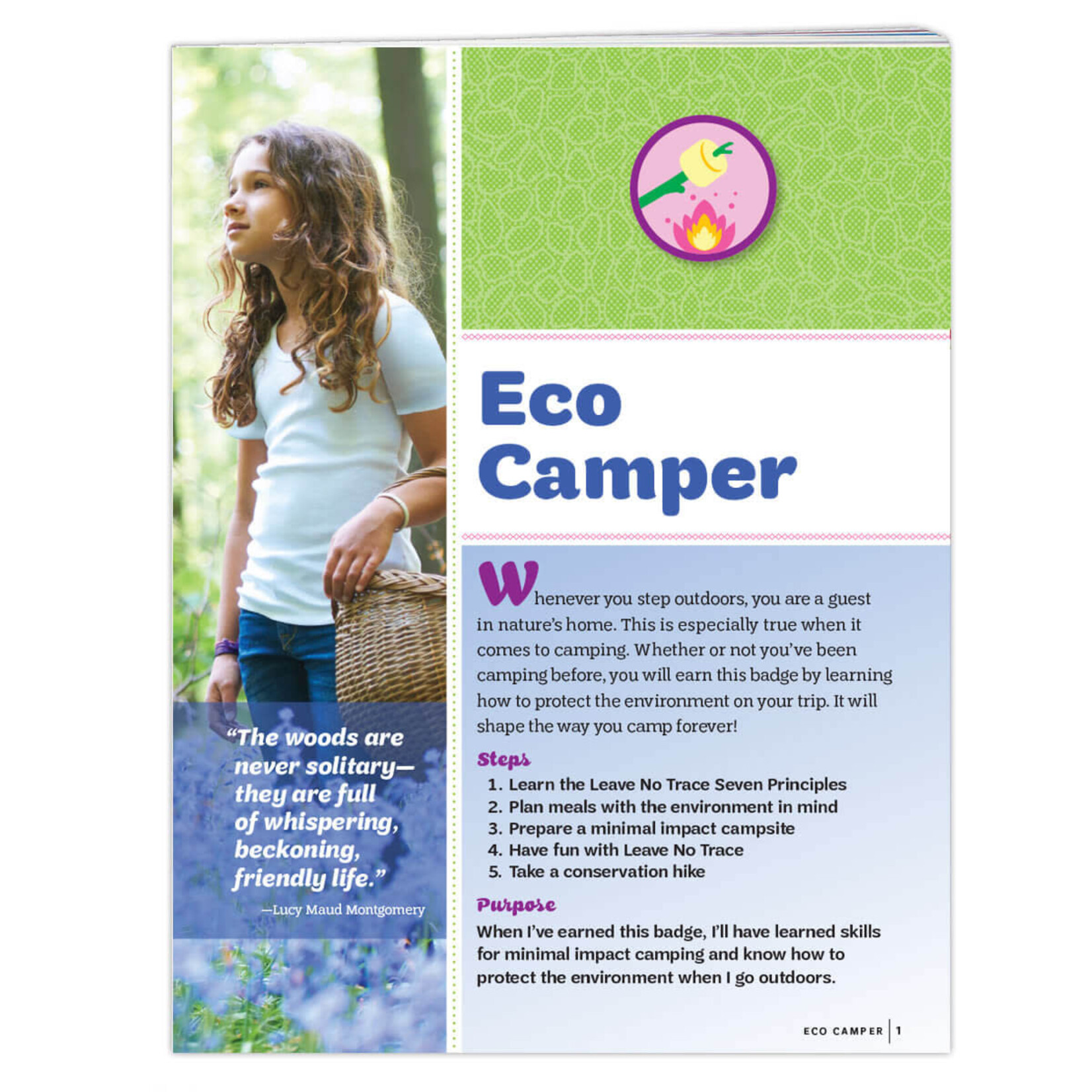 Girl Scout Merchandise Junior Eco Camper Badge Requirements