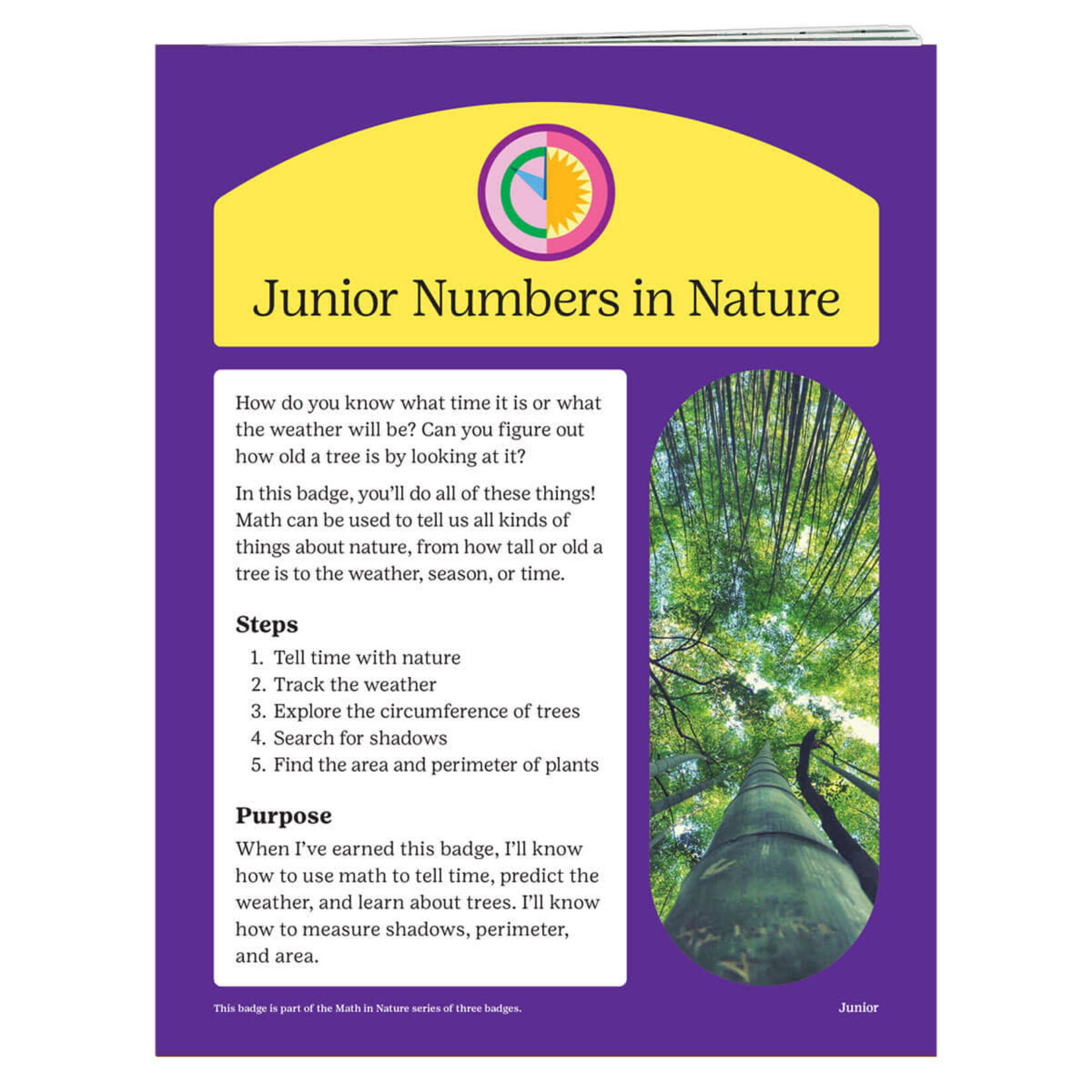 Girl Scout Merchandise Junior Numbers in Nature Badge Requirements