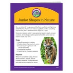 Girl Scout Merchandise Junior Shapes in Nature Badge Requirements