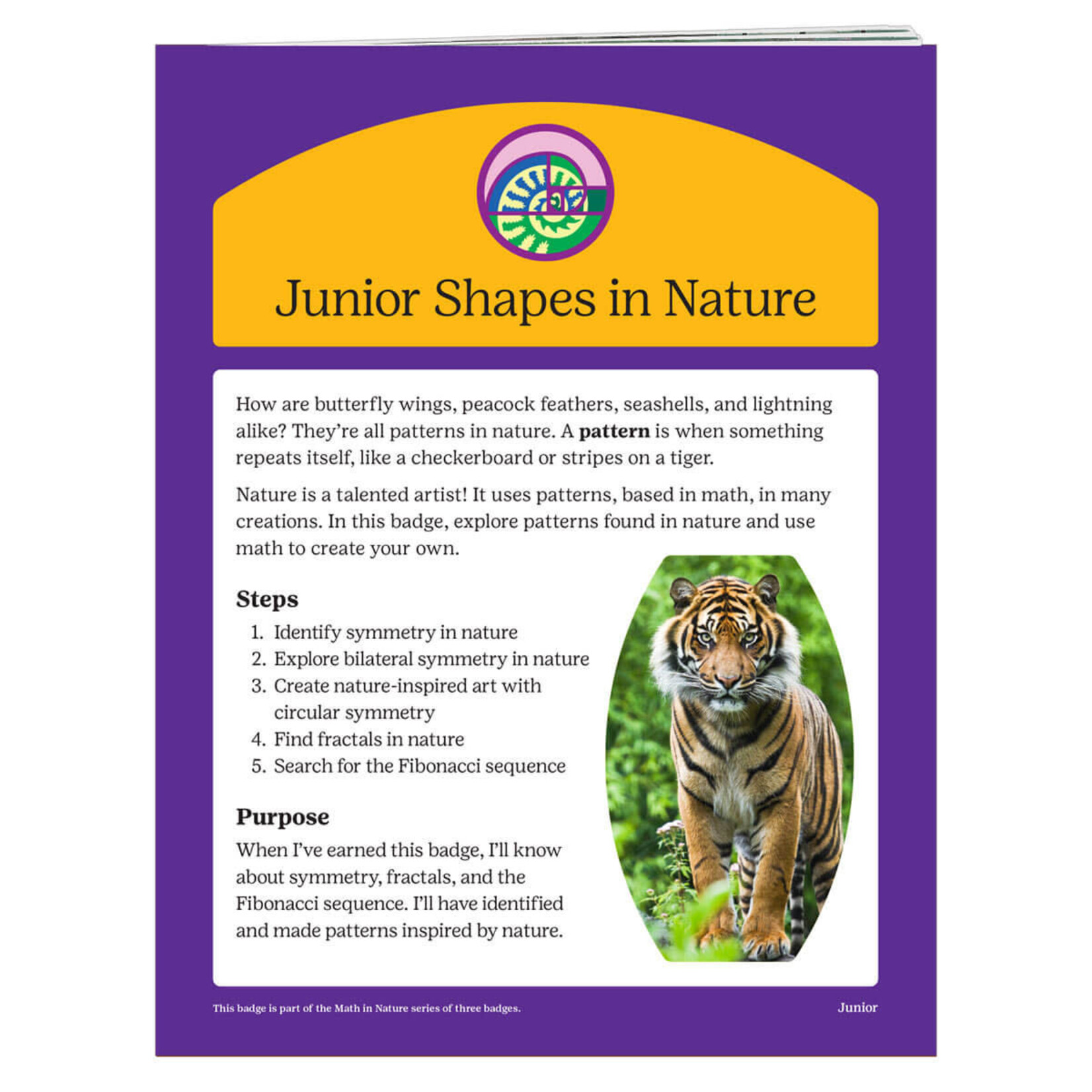 Girl Scout Merchandise Junior Shapes in Nature Badge Requirements