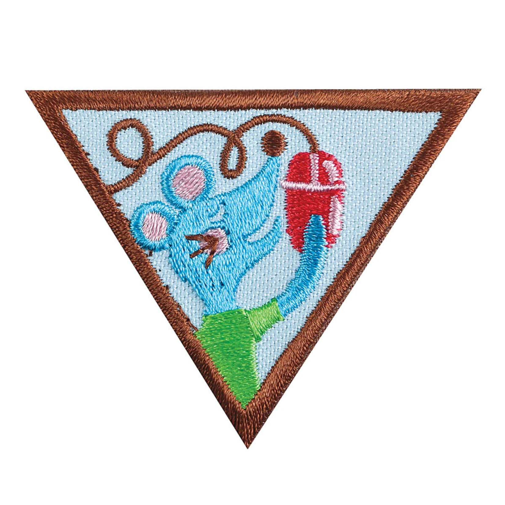 Girl Scout Merchandise BR COMPUTER EXPERT -WORLD