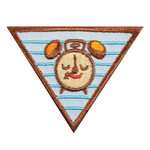 Girl Scout Merchandise Brownie My Great Day