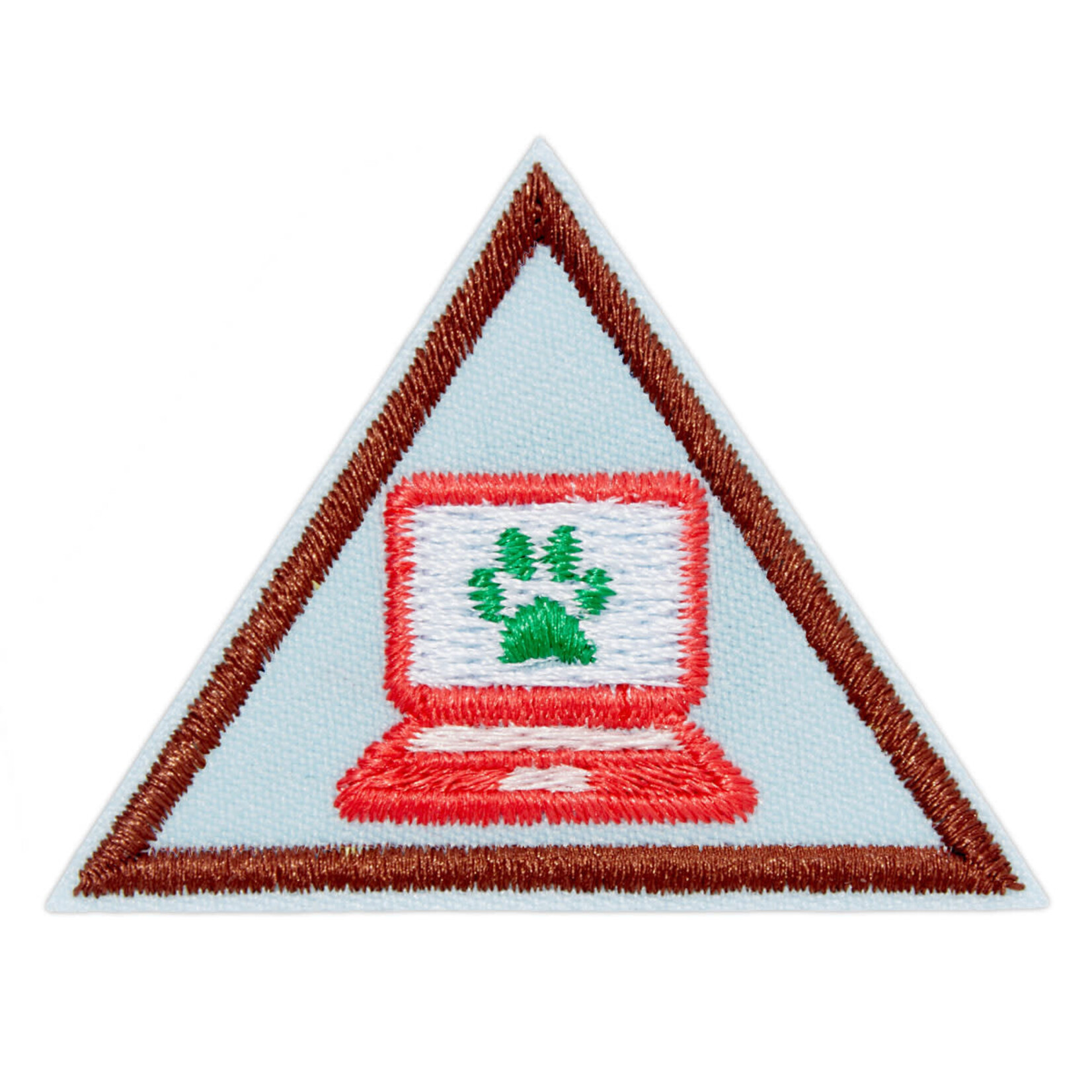 Girl Scout Merchandise Brownie Cybersecurity Safeguards 2